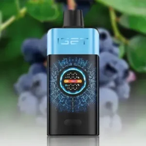 IGET One 12000 Puffs Blueberry Ice